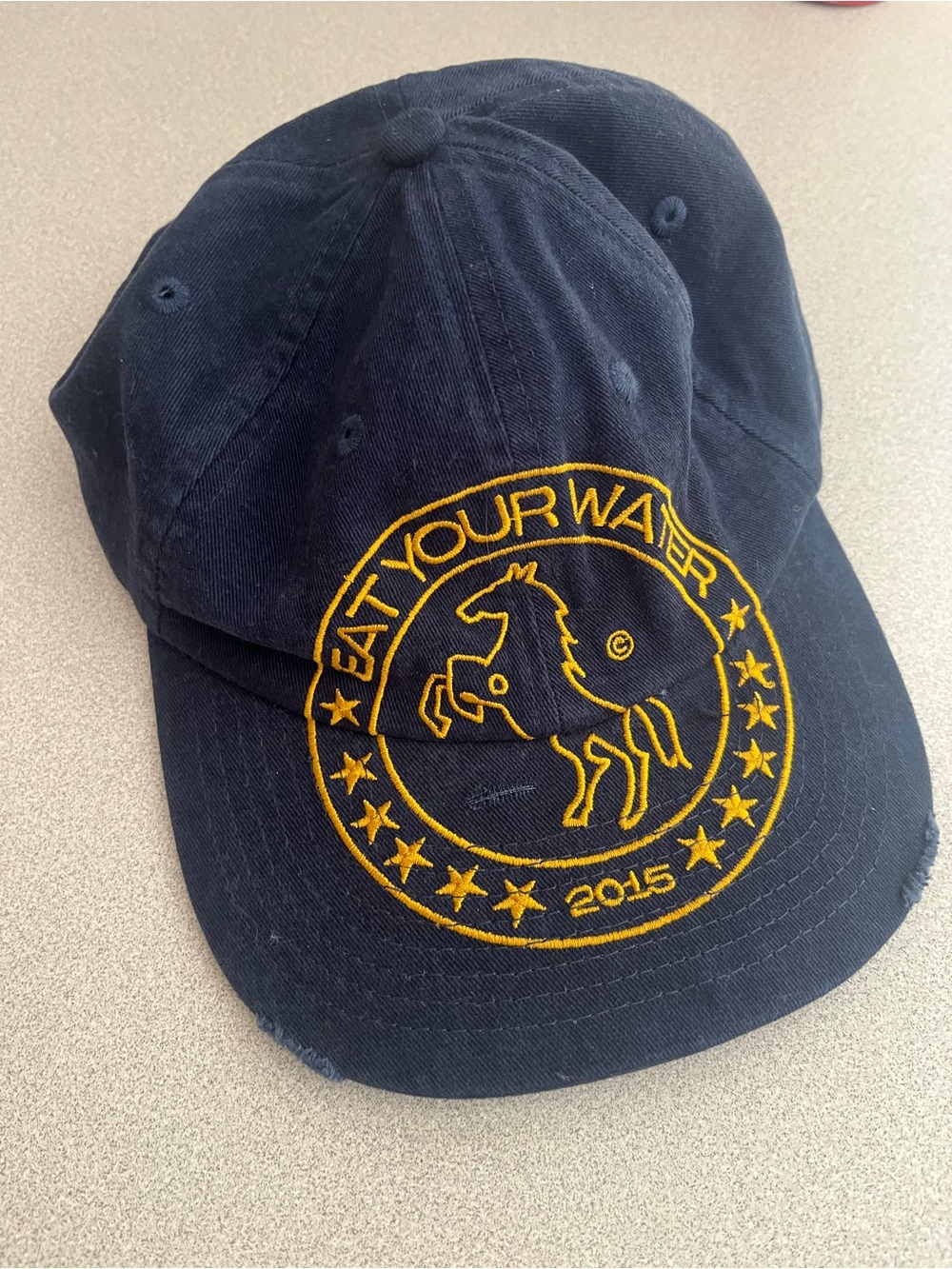 Embroidered Navy Cap with Gold Logo - "EAT YOUR WATER"
